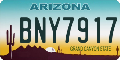 AZ license plate BNY7917