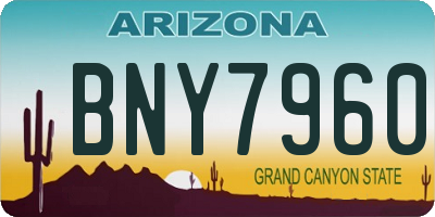 AZ license plate BNY7960