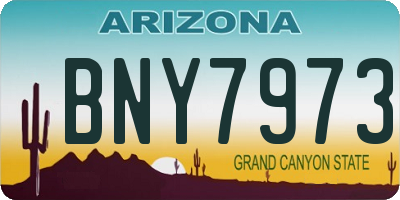 AZ license plate BNY7973