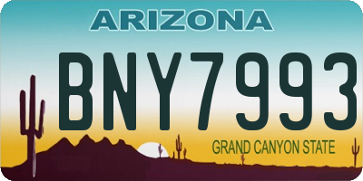 AZ license plate BNY7993