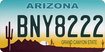 AZ license plate BNY8222