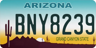AZ license plate BNY8239