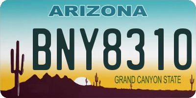 AZ license plate BNY8310