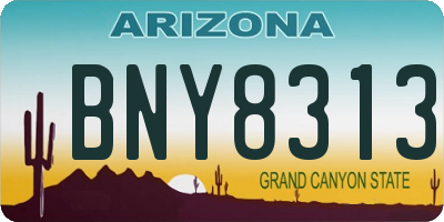 AZ license plate BNY8313