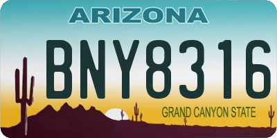 AZ license plate BNY8316