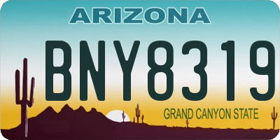 AZ license plate BNY8319