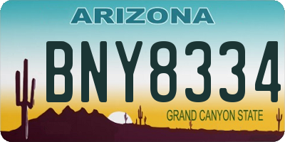 AZ license plate BNY8334