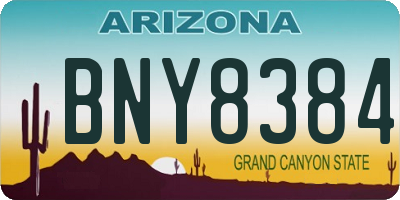 AZ license plate BNY8384