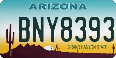 AZ license plate BNY8393