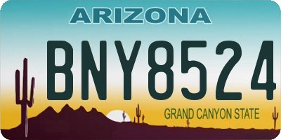 AZ license plate BNY8524