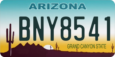 AZ license plate BNY8541