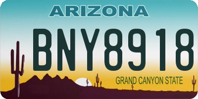 AZ license plate BNY8918