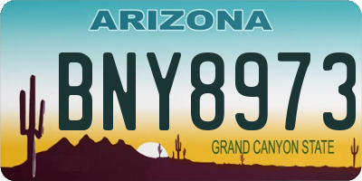 AZ license plate BNY8973