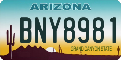 AZ license plate BNY8981