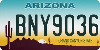 AZ license plate BNY9036