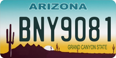 AZ license plate BNY9081