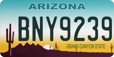 AZ license plate BNY9239