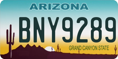 AZ license plate BNY9289
