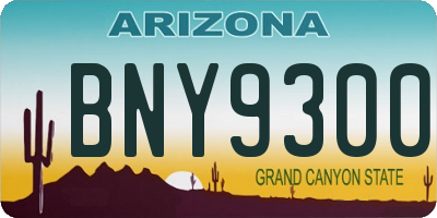 AZ license plate BNY9300