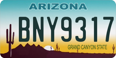 AZ license plate BNY9317