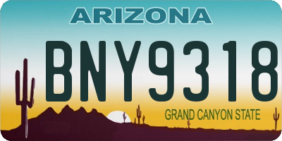 AZ license plate BNY9318