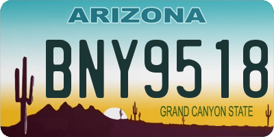 AZ license plate BNY9518