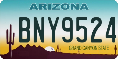 AZ license plate BNY9524