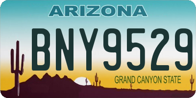 AZ license plate BNY9529