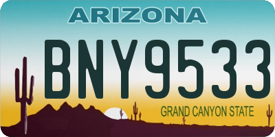 AZ license plate BNY9533