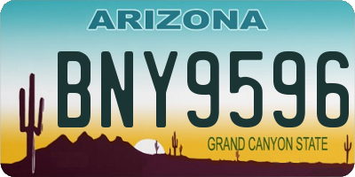 AZ license plate BNY9596