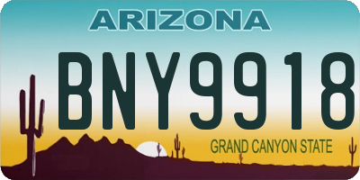 AZ license plate BNY9918