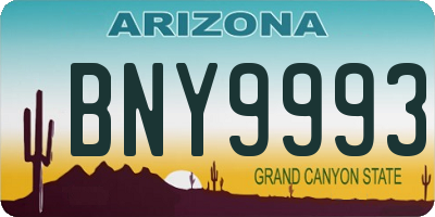 AZ license plate BNY9993