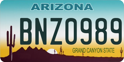 AZ license plate BNZ0989