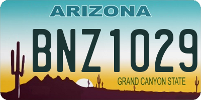 AZ license plate BNZ1029