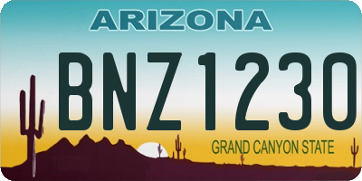 AZ license plate BNZ1230