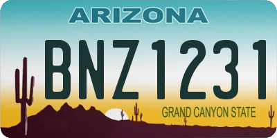 AZ license plate BNZ1231