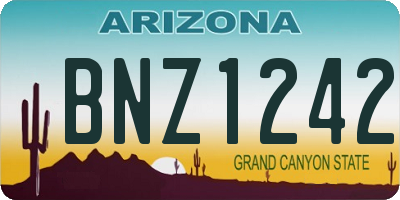AZ license plate BNZ1242