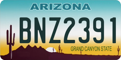 AZ license plate BNZ2391