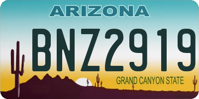 AZ license plate BNZ2919