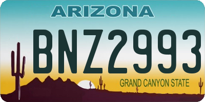 AZ license plate BNZ2993