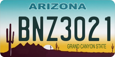 AZ license plate BNZ3021