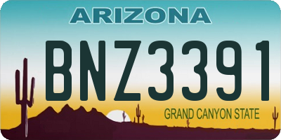 AZ license plate BNZ3391