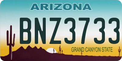 AZ license plate BNZ3733