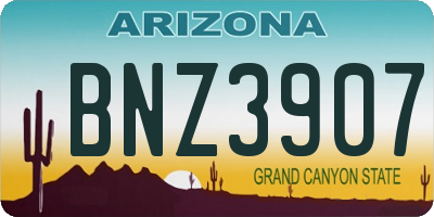 AZ license plate BNZ3907