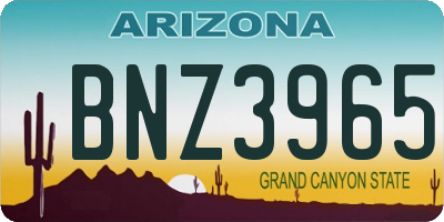 AZ license plate BNZ3965
