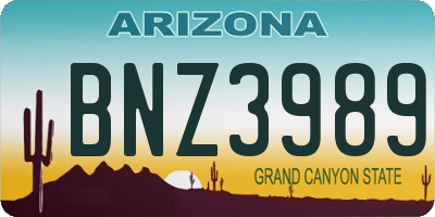 AZ license plate BNZ3989