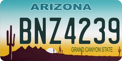 AZ license plate BNZ4239