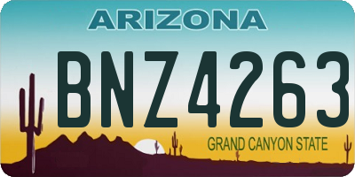 AZ license plate BNZ4263