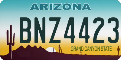 AZ license plate BNZ4423