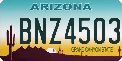 AZ license plate BNZ4503